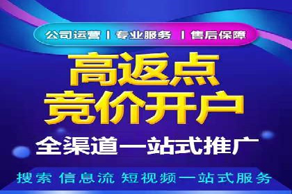 竞价广告案例分享：XX电商平台的成功秘诀