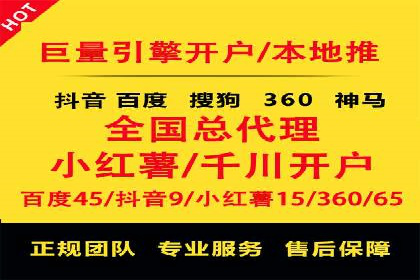 成功案例：网络推广与竞价广告的完美结合